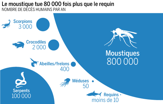 le_moustique