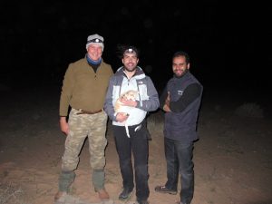 Le premier chat des sables du Sahara jamais muni d'un collier émetteur, entouré de l'équipe de recherche...